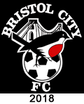 brisol city robin crest 2018